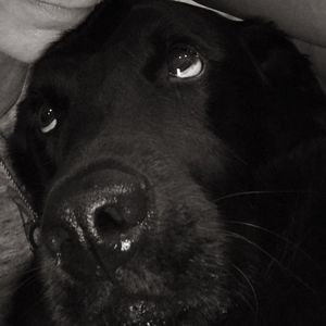 Meet your Posher, Jan